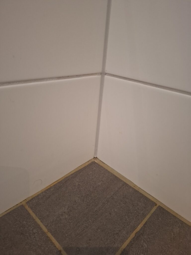 Närbild på fog